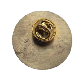 BOTEV PLOVDIV 110 years anniversary pin badge.