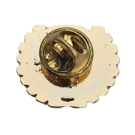 Fenerbahce pin badge.