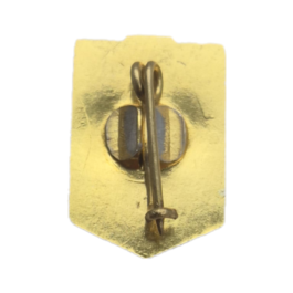 LOKOMOTIV GORNA ORYAHOVITSA glass pin badge.