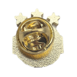 RAPID VIENNA pin badge.