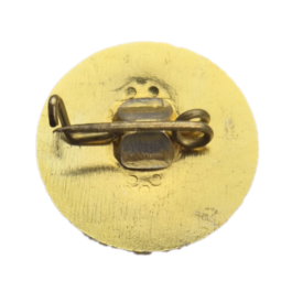 Rozova Dolina Kazanlak pin badge.