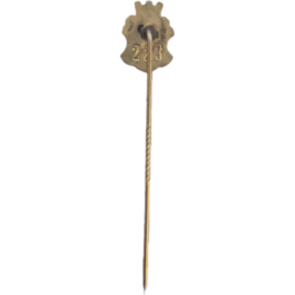 AIK enamel pin badge.